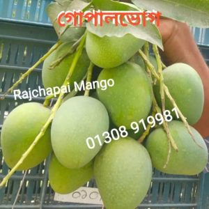 গোপালভোগ আম