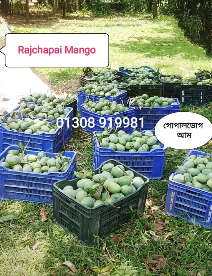 WhatsApp Image 2025-05-18 at 9.34.21 AM