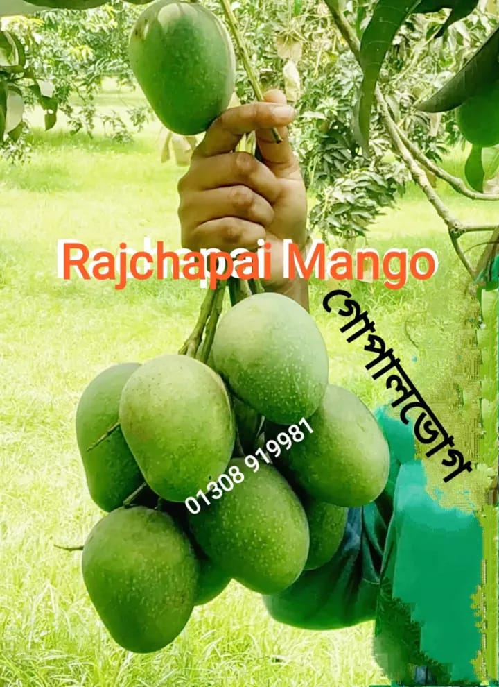 WhatsApp Image 2025-05-19 at 7.50.33 PM